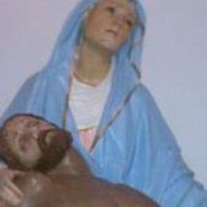 Meet your Posher, Luz